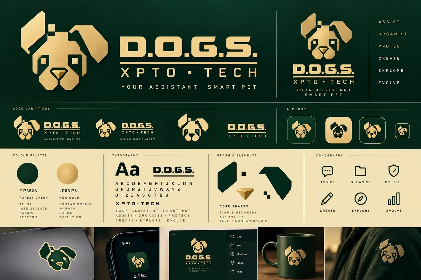 Estudo visual D.O.G.S. XPTO TECH